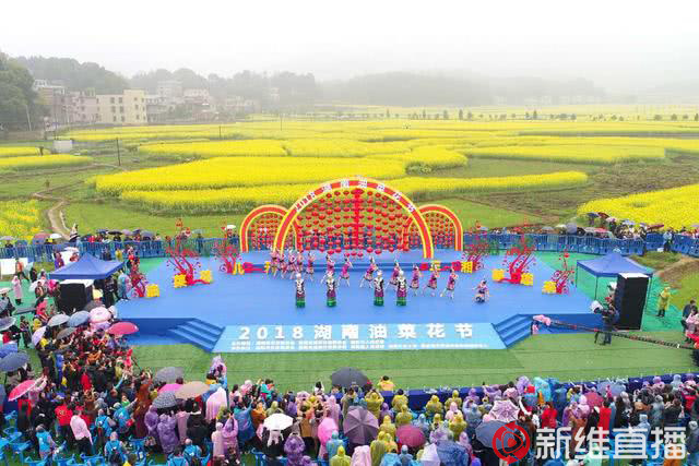 <a href='//www.firstvr.cn' target='_balnk'>湖南</a>油菜花節(jié)召開
