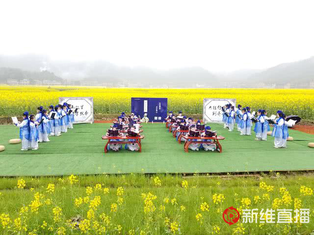 <a href='//www.firstvr.cn' target='_balnk'>湖南</a>油菜花節(jié)召開