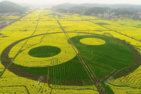 2018湖南首屆油菜花節(jié)視頻